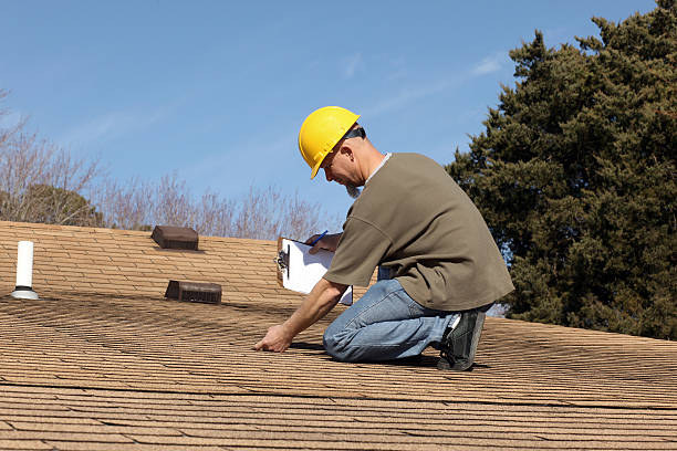 Best Skylight Installation and Repair  in Arcade, GA
